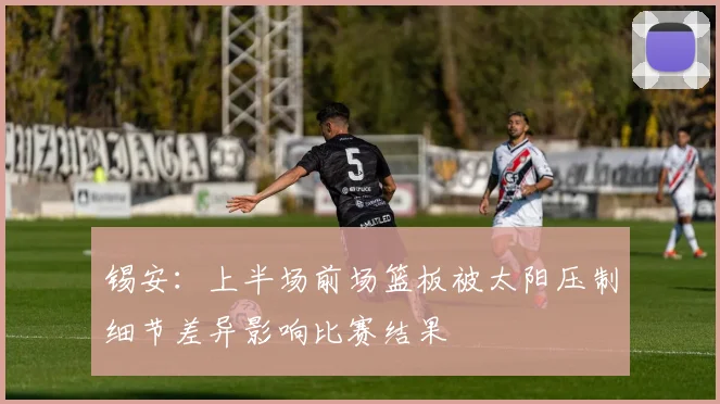 锡安：上半场前场篮板被太阳压制细节差异影响比赛结果