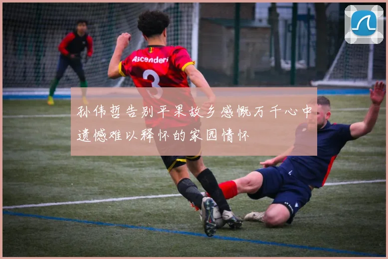 孙伟哲告别平果故乡感慨万千心中遗憾难以释怀的家园情怀